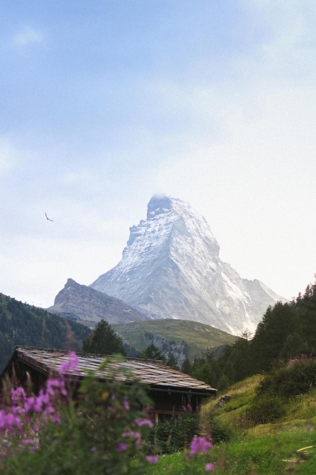 Studio Wolli - Stylish & Central - Steps To Matterhorn Gondola Zermatt Exterior foto